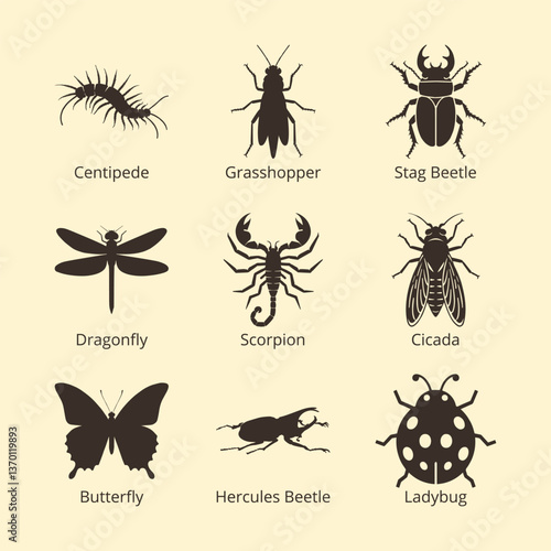 Insect icon set, Pest Arthropods vector Silhouette, ladybug, bug, fly, dragonfly, beetle, butterfly, cicada, scorpion, centipede, grasshopper icon symbol