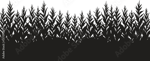  A black corn field. Maize field silhouette design vector illustration