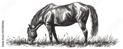 Grazing horse illustration in natural pose, linear style icons set.