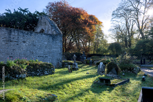 The Franciscan friary of Irrelagh, now known as Muckross Abbey in the Killarney National Park, Ireland
