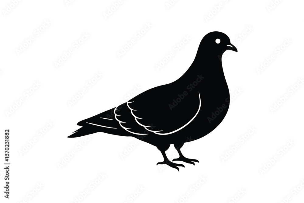Obraz premium Silhouette of a dove standing on the ground vector illustration.eps