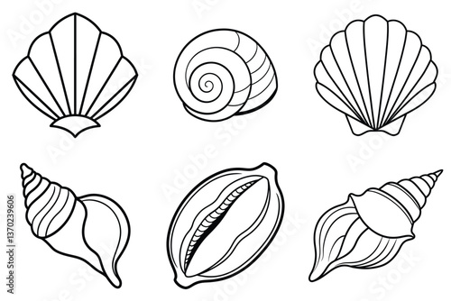 Sea Shell Collection, Set of Shell