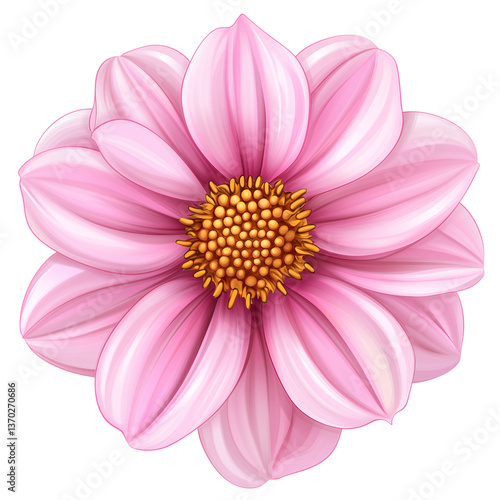 Stunning Pink Dahlia Flower Close-up Illustration, Floral Design, isolated on transparent Background