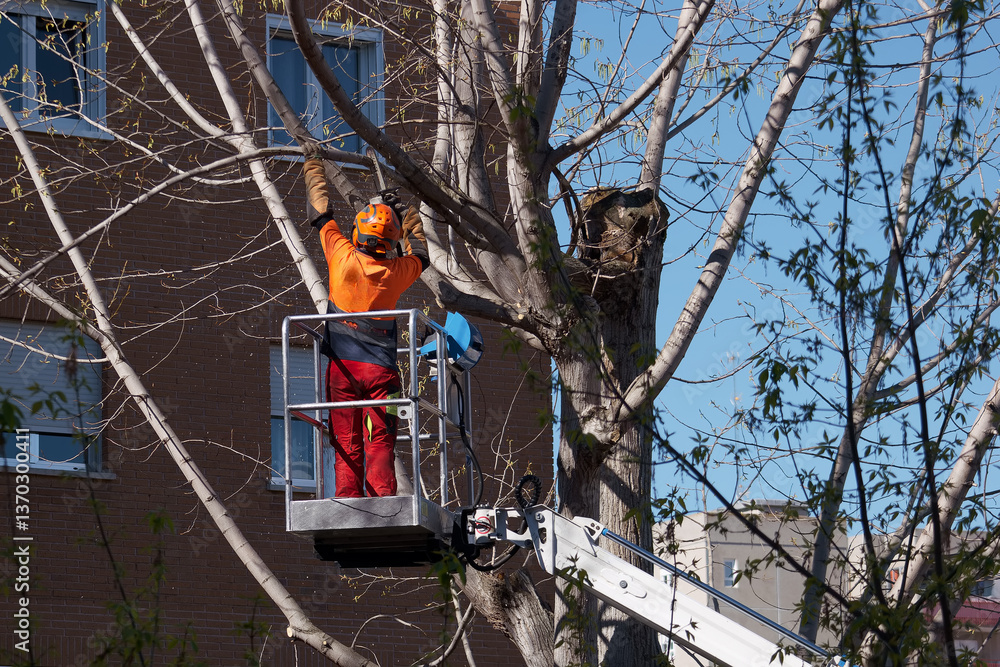 worker, boom, saw, pruning, tree, machine, work, helmet, work cl