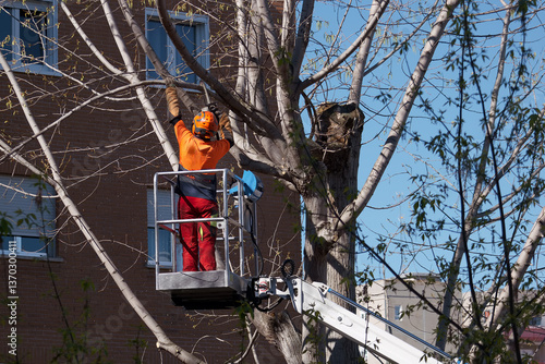 Obraz na płótnie worker, boom, saw, pruning, tree, machine, work, helmet, work cl w salonie
