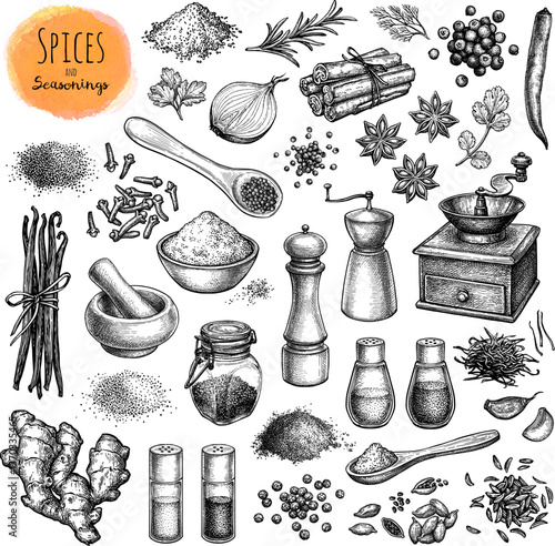 Spices and seasonings big collection