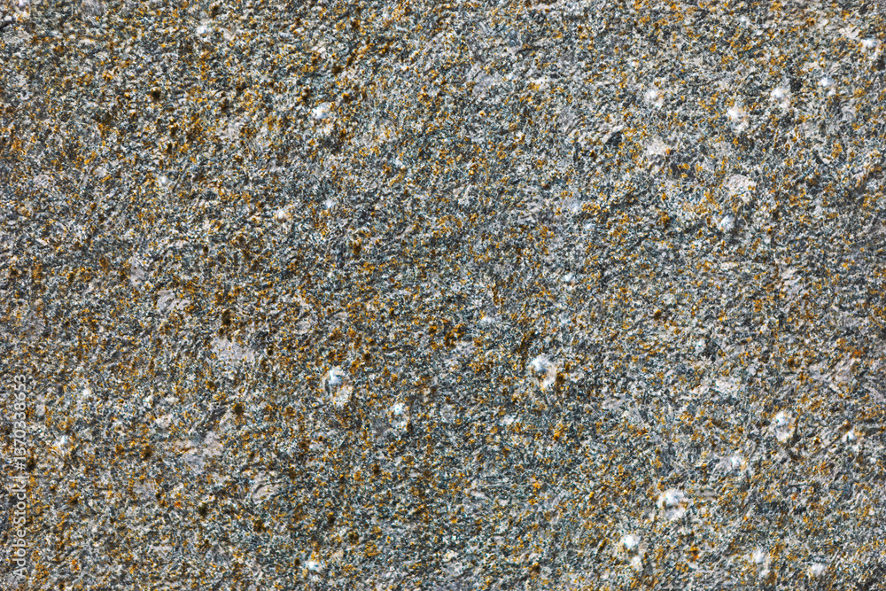 Surface view of densely packed cellular structures, resembling a tissue sample under high magnification. Microscopic view of a complex, granular material, revealing a multitude of tiny details