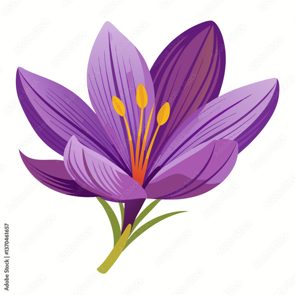 Saffron white background Saffron white background