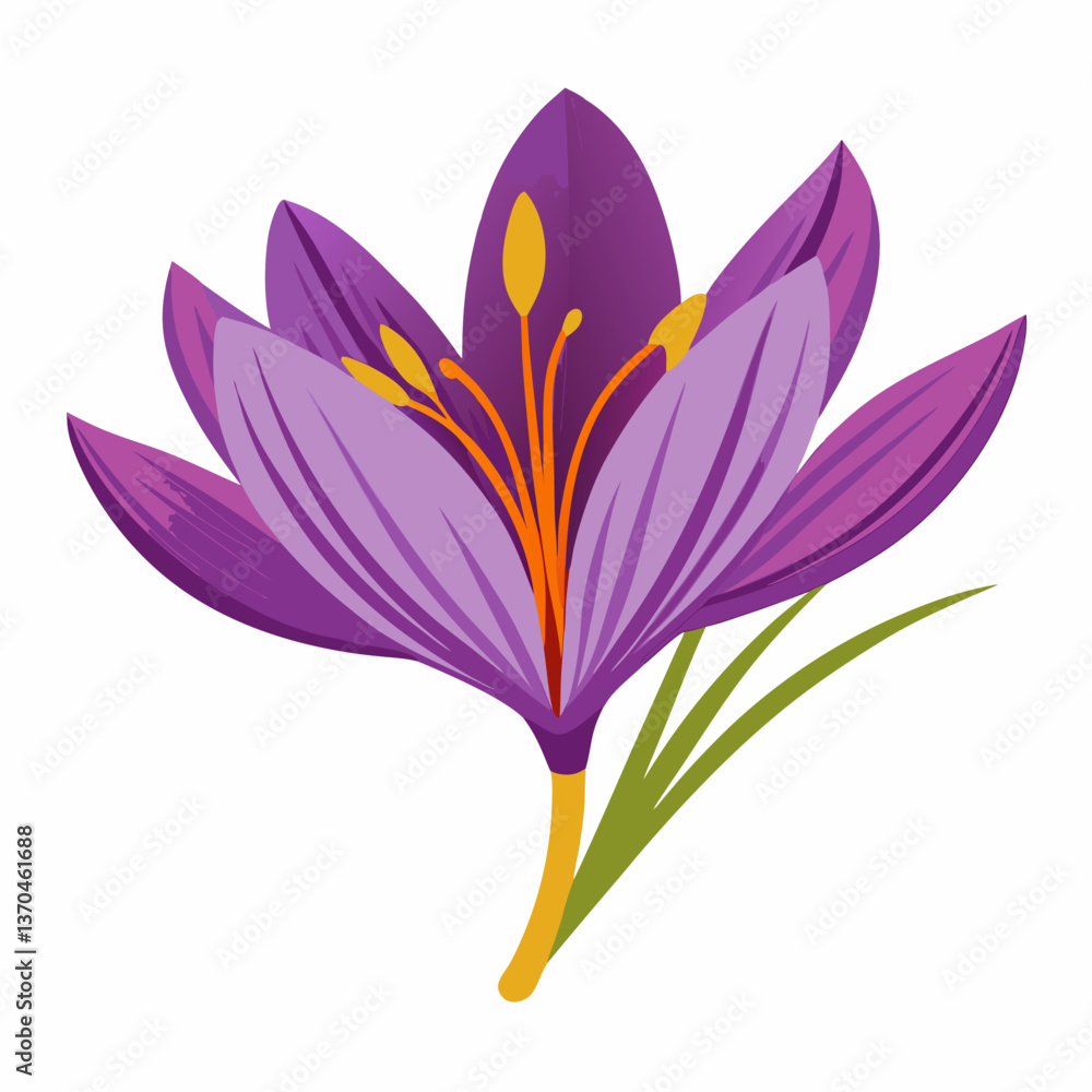 Saffron white background Saffron white background