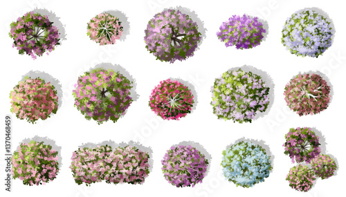 Vector watercolor of blooming tree top view isolated on white background for landscape plan and architecture drawing, elements for environment and garden,botanical elements ,blooming flower in spring