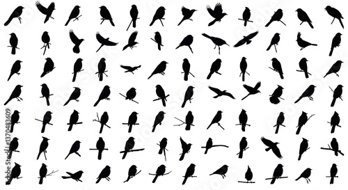 Pattern of bird silhouettes in different poses
