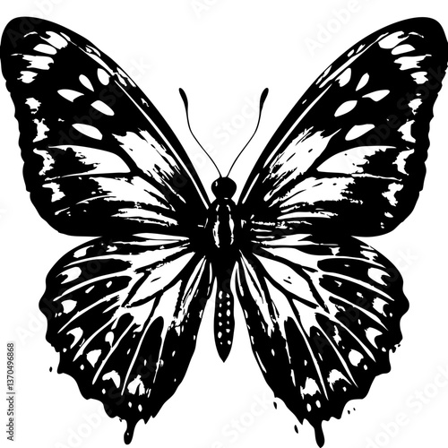 Detailed Butterfly Silhouette with Wing Spotting
