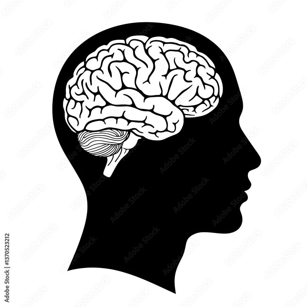 Obraz premium Human Head Silhouette with Detailed Brain Anatomy Illustration