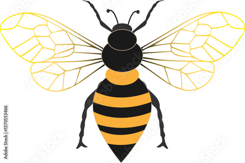 Wasp