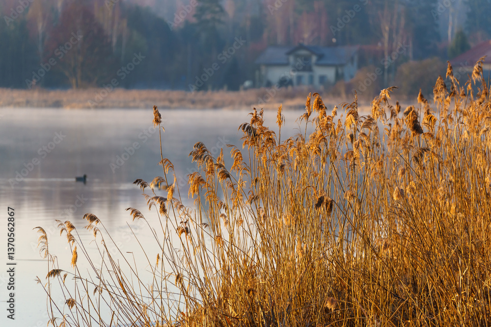 Chlodny poranek nad Stawami Dojlidzkimi, Podlasie, Polska