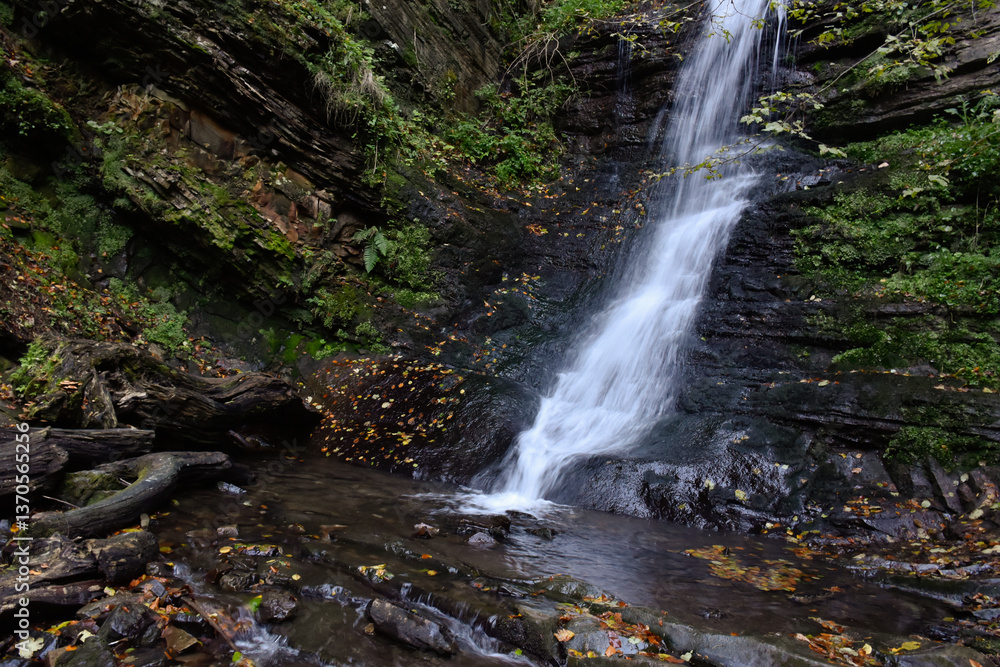 Fototapeta premium Laznyi Waterfall in Carpathian mountains, Ukraine. Large stream with clear frothy water flowing down moss-covered rocks. Beautiful autumn landscape, woodland, golden leaves on dark stones. 