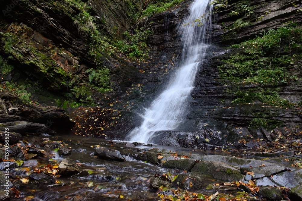 Obraz premium Laznyi Waterfall in Carpathian mountains, Ukraine. Large stream with clear frothy water flowing down moss-covered rocks. Beautiful autumn landscape, woodland, golden leaves on dark stones. 