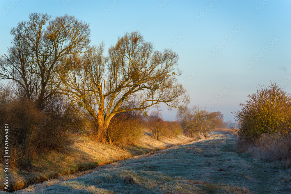 Chlodny poranek nad Stawami Dojlidzkimi, Podlasie, Polska