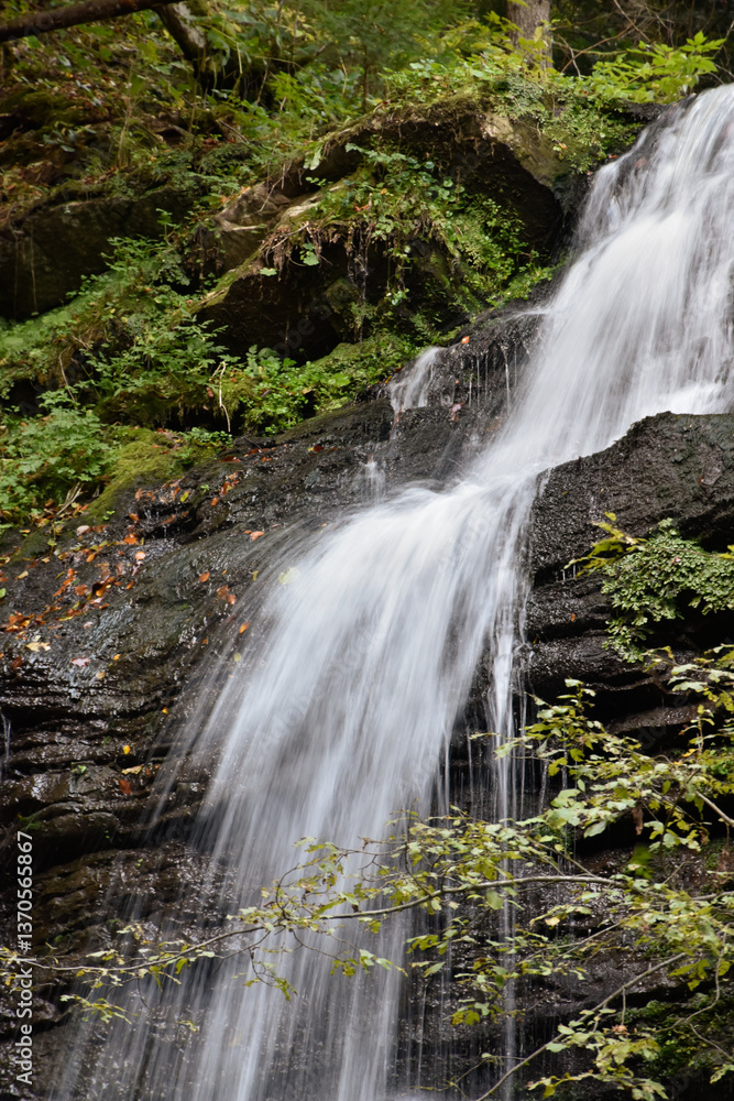 Obraz premium Laznyi Waterfall in Carpathian mountains, Ukraine. Large stream with clear frothy water flowing down moss-covered rocks. Beautiful autumn landscape, woodland, golden leaves on dark stones. 