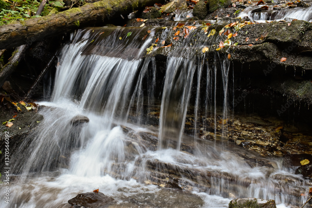 Obraz premium Laznyi Waterfall in Carpathian mountains, Ukraine. Stream with clear frothy water flowing among stepped rocks. Beautiful autumn landscape, woodland, colorful leaves on stones. 