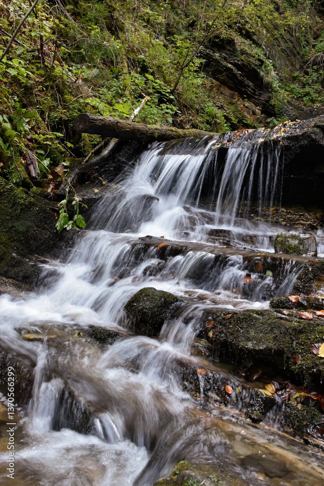 Fototapeta premium Laznyi Waterfall in Carpathian mountains, Ukraine. Stream with clear frothy water flowing among stepped rocks. Beautiful autumn landscape, woodland, colorful leaves on stones. 
