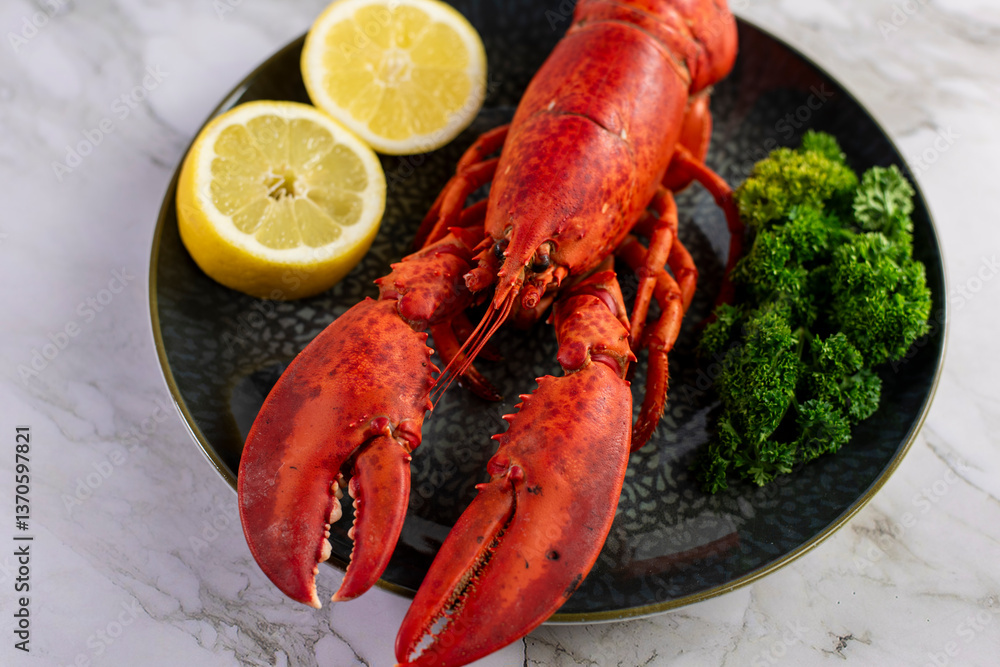 Close up of fresh steamed lobster with herbs Close up of fresh steamed lobster with herbs