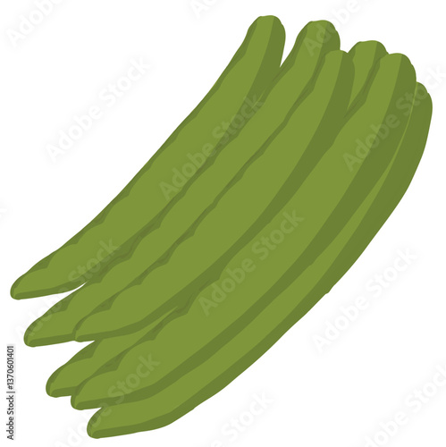 Minimalist vector of green moringa beans in elongated, curved form. The smooth color gradient and clean lines give a fresh, organic, and tropical feel.

