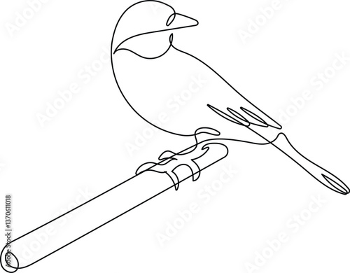 Oriole bird in continuous line art drawing style. Minimalist black linear sketch isolated on white background. Animal vector illustration