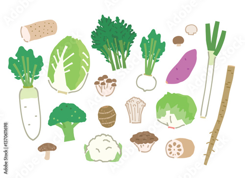 新鮮な秋冬野菜のイラスト