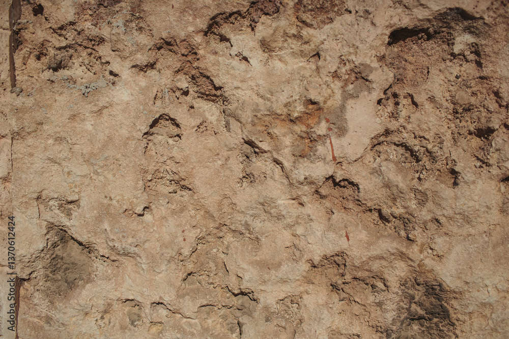 Fototapeta premium This is a beautifully textured wall showcasing intricate natural patterns and exquisite details