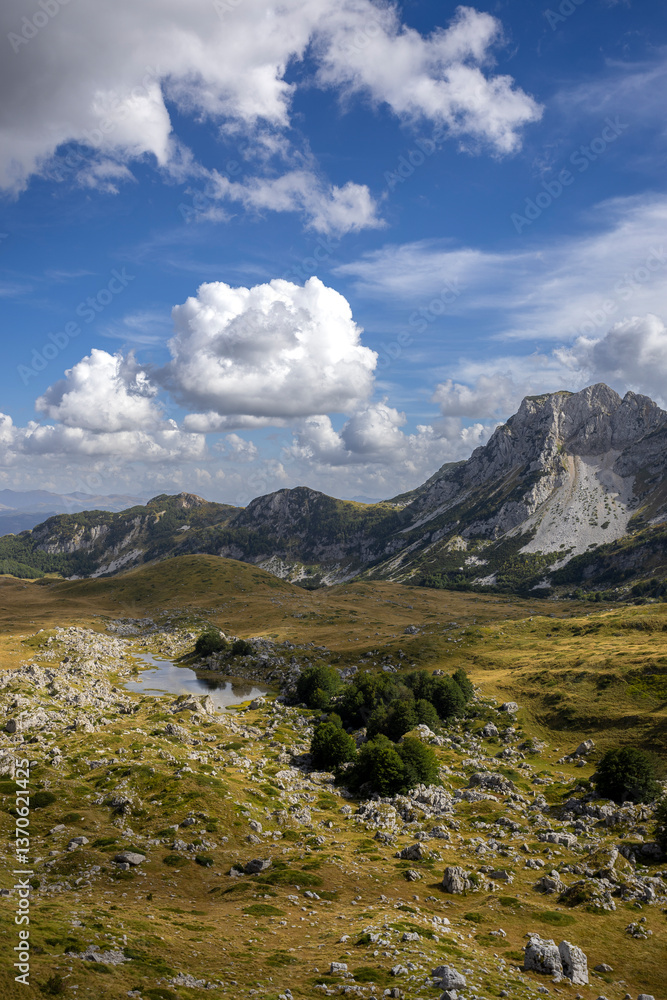 Fototapeta premium Aerial view on Durmitor National Park 