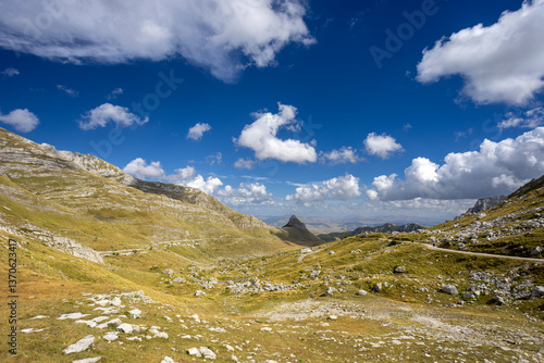 Aerial view on Durmitor National Park 