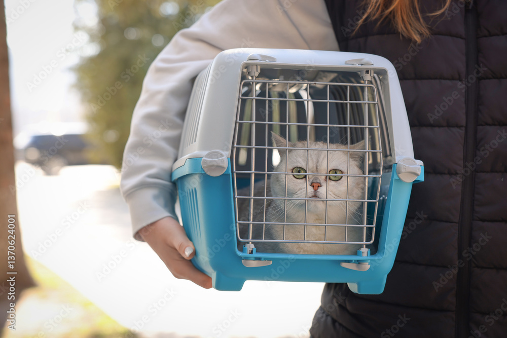 Woman holding cute cat in pet carrier outdoors, closeup