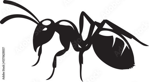 Black and white vector illustration different ant silhouettes in various poses, isolated on a white background