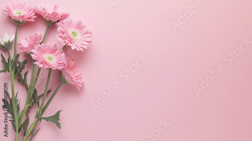 ピンクの背景に並ぶカーネーションや花々とつぼみ