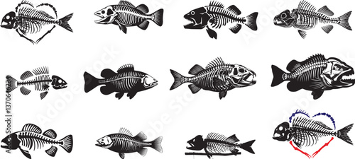 Set of Detailed Fish Skeletons, Ideal for Fishing-Themed Graphics