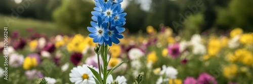Vibrant blue flowers amid colorful meadow, perfect for springtime renewal, Easter celebration, nature's tranquil beauty, blooming field