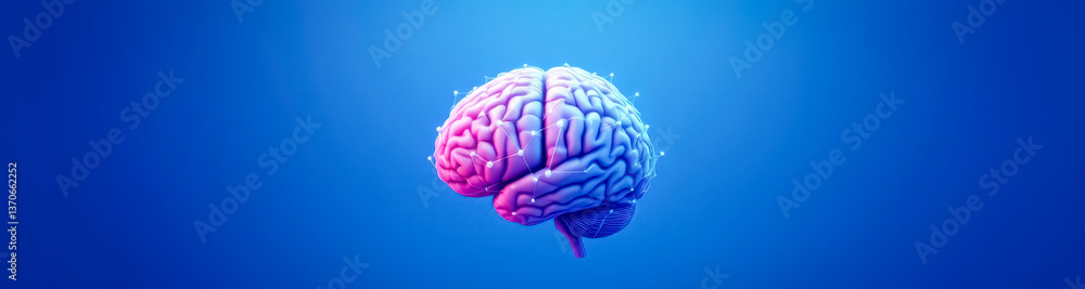 3d-rendered human brain model with highlighted neural connections