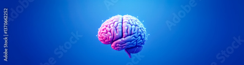 Obraz na płótnie 3d-rendered human brain model with highlighted neural connections w salonie