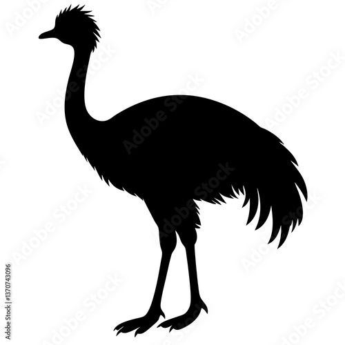 ostrich vector illustration silhouette on white background