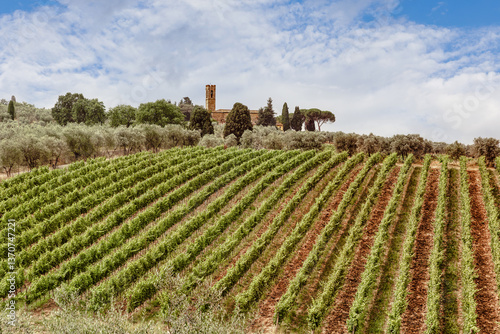 Obraz na płótnie Stunning view of Tuscany vineyards and olive groves under a picturesque sky with historical architecture in the background w salonie