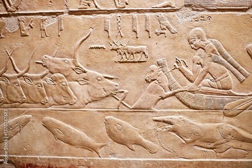 Mural from the tomb of the vizier Kagemni showing a herd of cattle crossing the river, the herdsman helping a calf with his boat and a crocodile in the Nile waters, Saqqara, Egypt