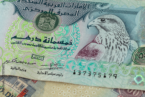Close-up view of currency notes showcasing unique designs representing the heritage of the United Arab Emirates. The falcon motif emphasizes cultural significance, highlighting national identity.