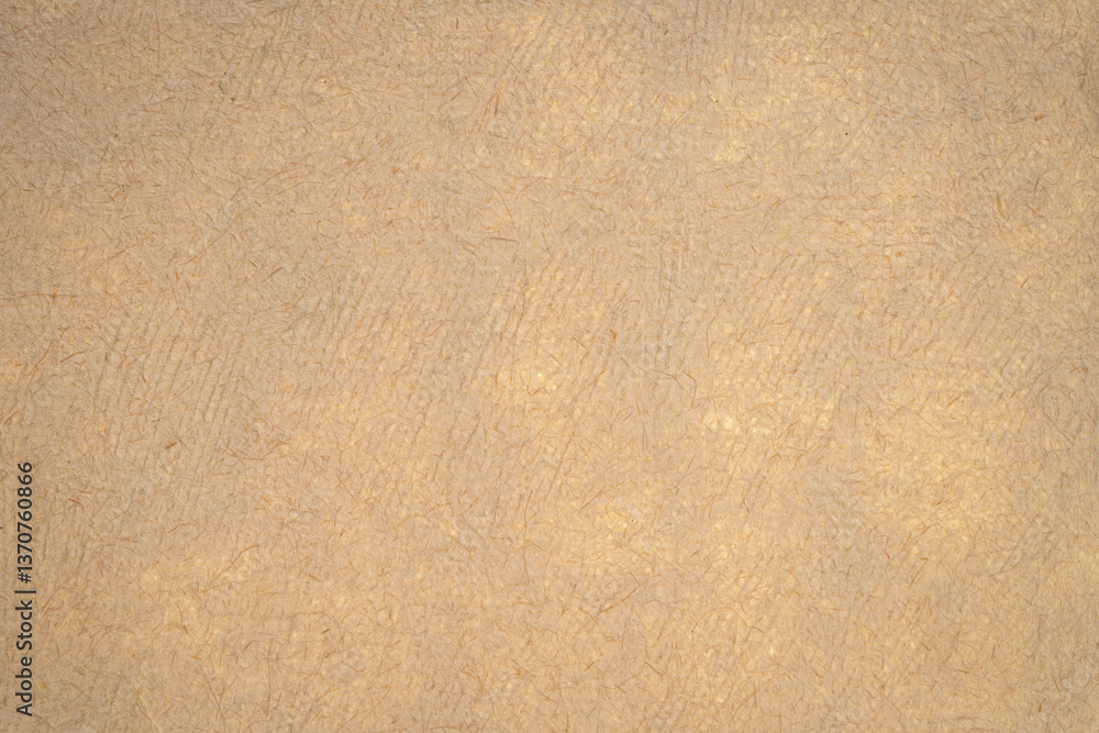 Fototapeta premium macro background and texture of backlit bark paper handmade in Mexico