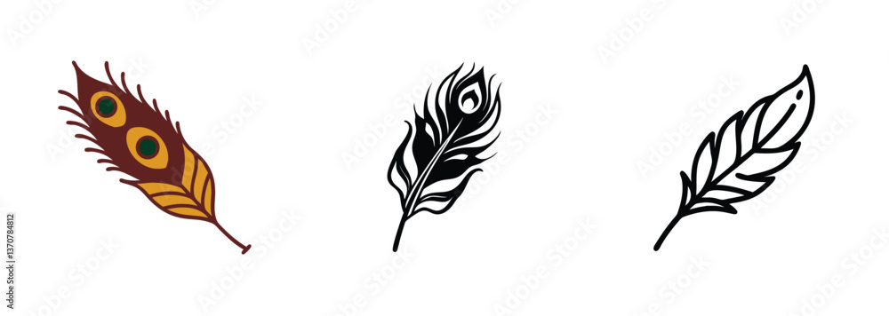 Fototapeta premium Peacock Feathers Colorful, Black, and Outline Designs