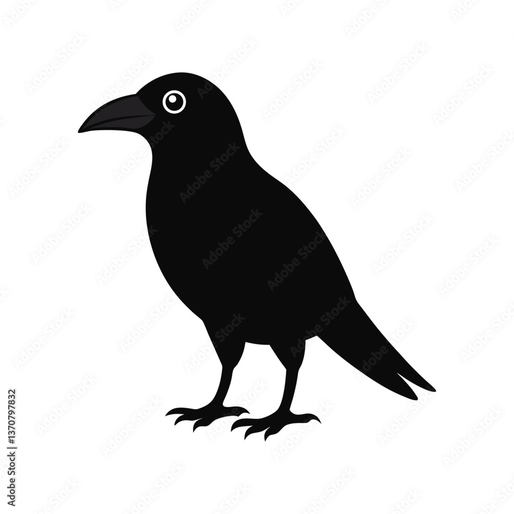a large billed crow on white background.eps a large billed crow on white background.eps