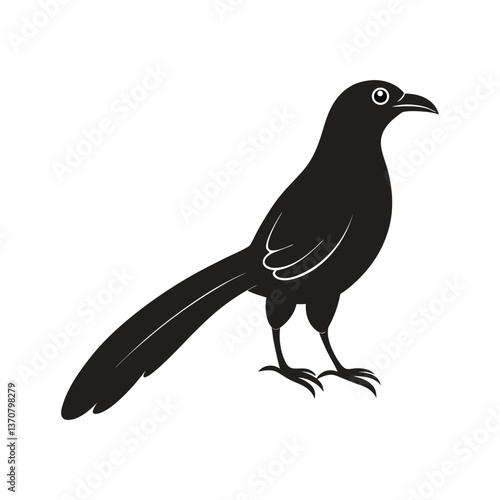 a greater coucal bird on white background.eps