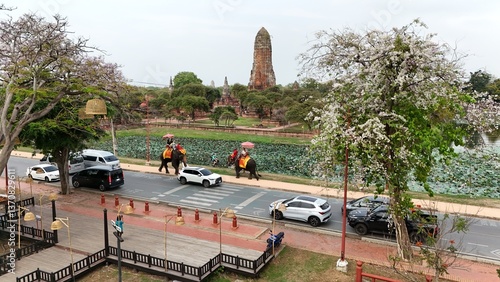 Tourists ride an elephant through the streets of Ayutthaya cultural.