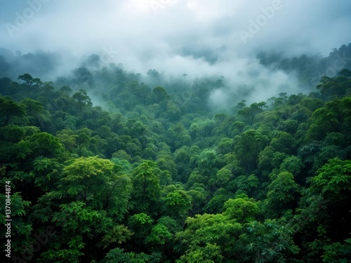 Misty Hills With Trees Generation Ai