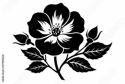 wild prairie rose silhouette line art vector illustration